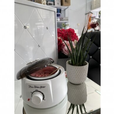 Professional wax heater for cans and pellets 100W, 400 ml. 3